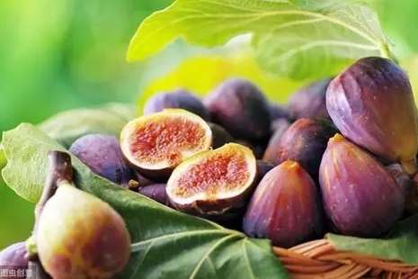 新鮮無花果好處全解析！營養師推薦的7大健康功效與美味吃法