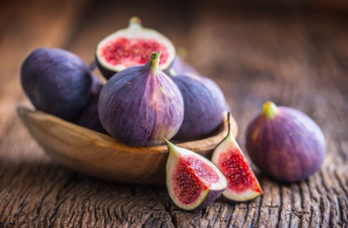 無花果果膠哪裡買