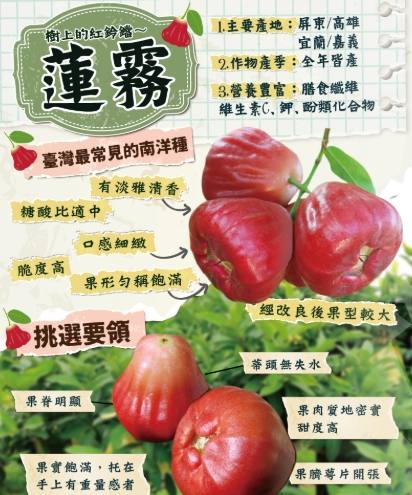 蓮霧甜度提升全攻略：從種植到採收的實用技巧