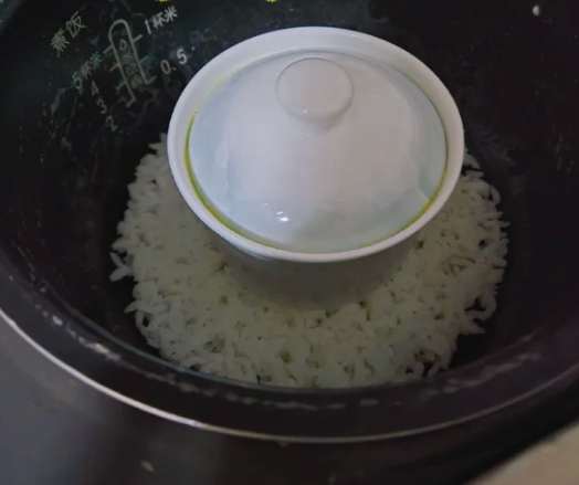 蒸蛋飯電鍋推薦 蒸蛋飯電鍋推薦