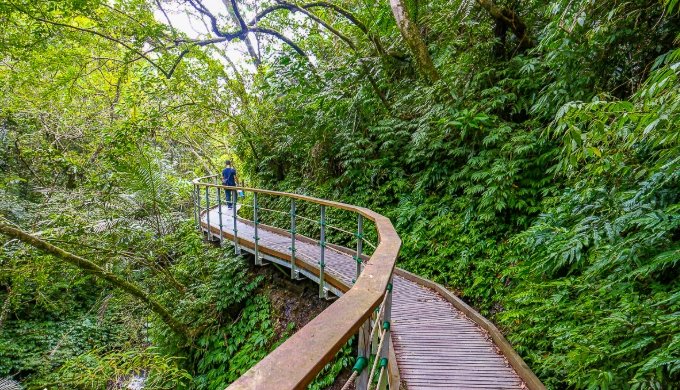 宜蘭登山步道 宜蘭登山步道