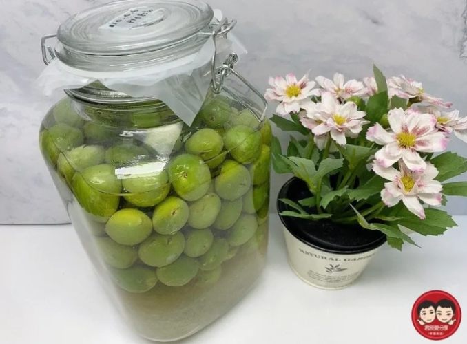 梅子醋儲存方法