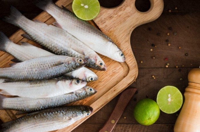 烏魚健康益處 烏魚健康益處