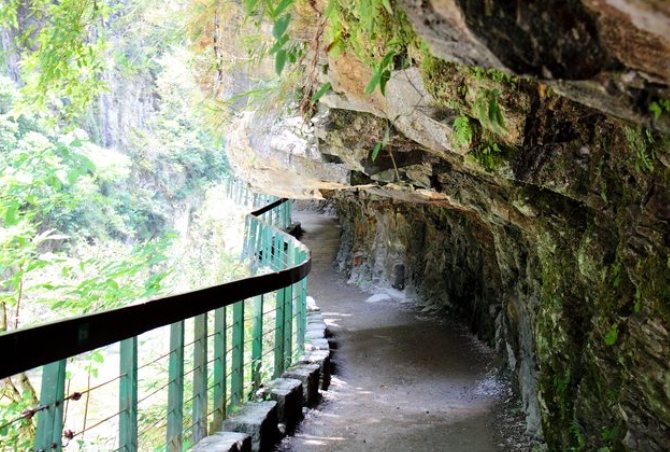 砂卡礑步道怎麼去