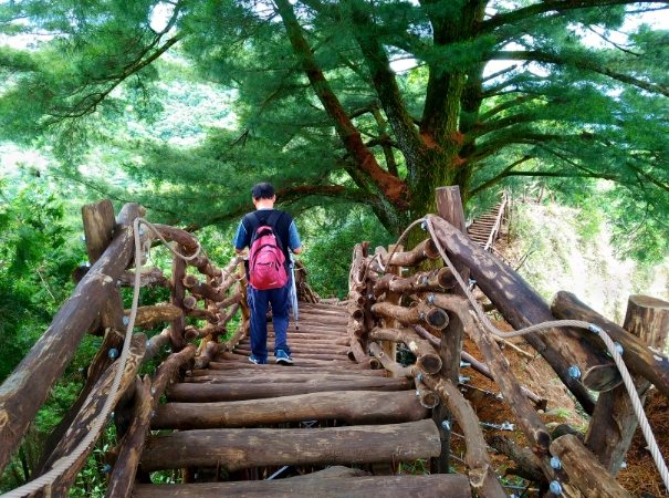大坑步道挑戰 大坑步道挑戰