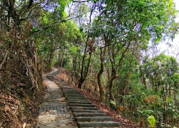 虎山步道難度 虎山步道難度