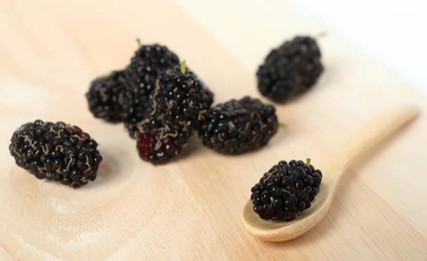 桑葚干禁忌 桑葚干禁忌