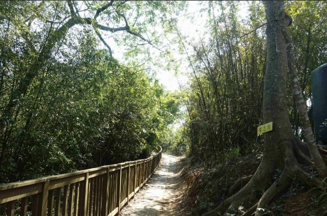 頭份登山步道 頭份登山步道