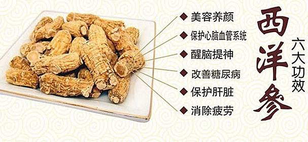 西洋蔘功效