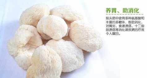 猴頭菇功效 猴頭菇功效