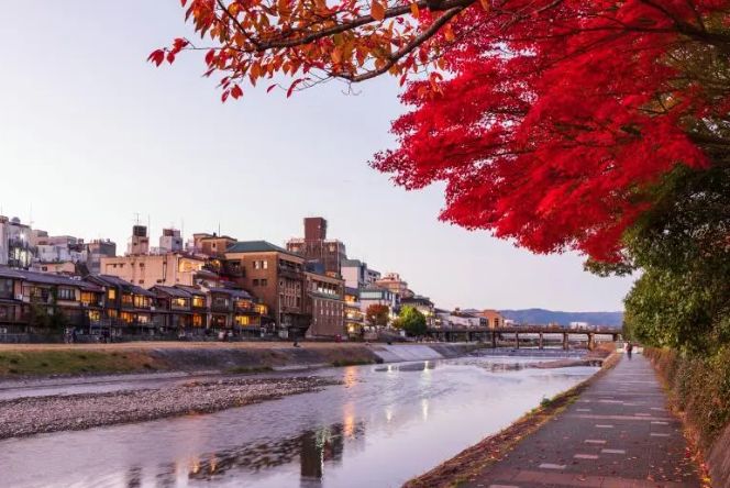 四條通逛街攻略