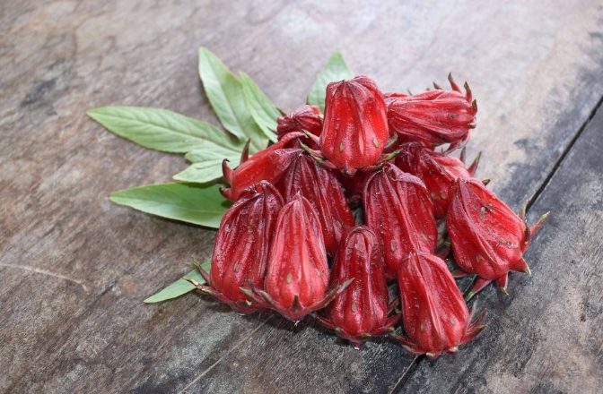 洛神花茶生理期 洛神花茶生理期