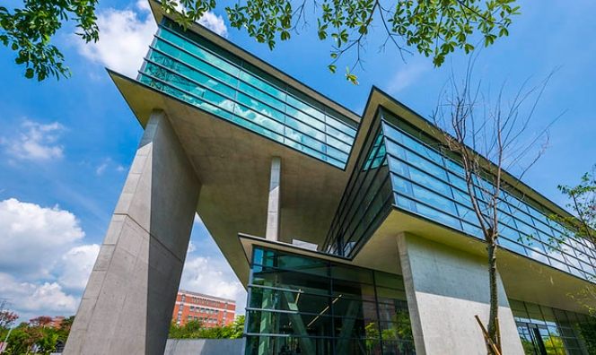 安藤忠雄美術館