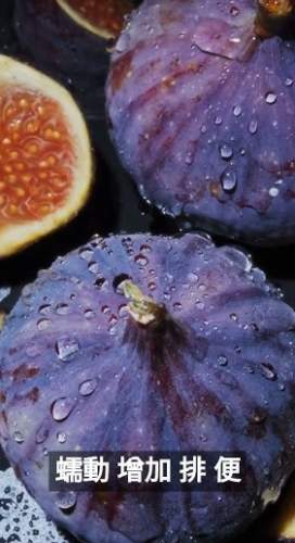 便秘無花果食用法 便秘無花果食用法