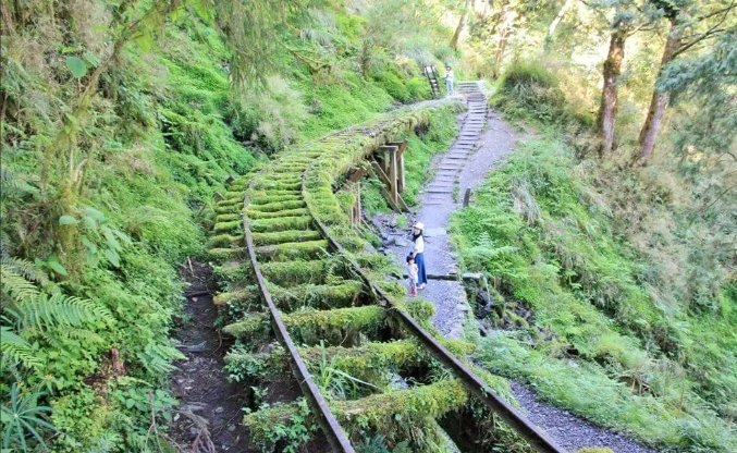 宜蘭森林步道推薦 宜蘭森林步道推薦