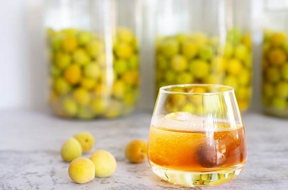 梅酒調酒配方 梅酒調酒配方