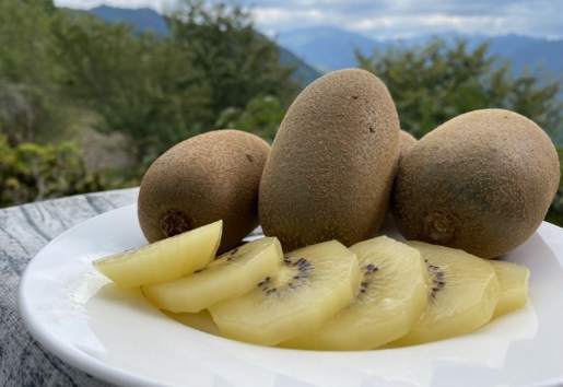 奇異果脹氣原因