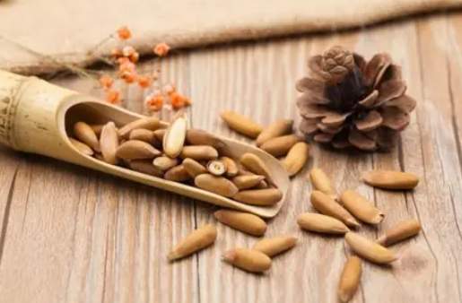 巴西松子營養 巴西松子營養