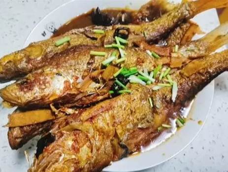 烏魚捕撈 烏魚捕撈