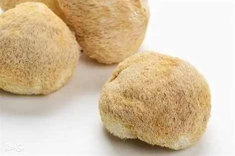 猴頭菇泡水好處