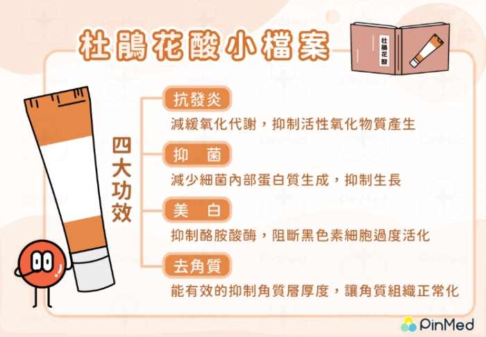 杜鵑花酸可以每天擦嗎？皮膚科醫師完整解析使用頻率與副作用