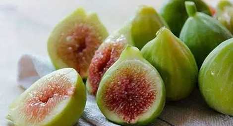 無花果治便秘 無花果治便秘