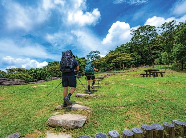 伯公步道健行