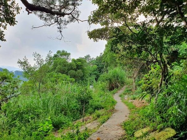 烘爐地交通資訊