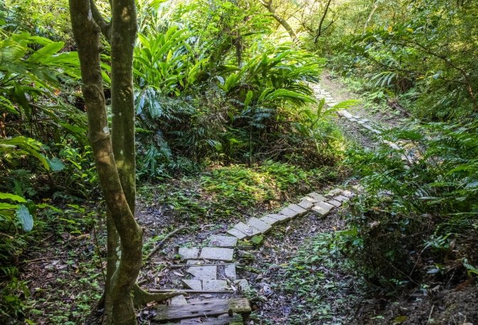 烘爐地登山步道