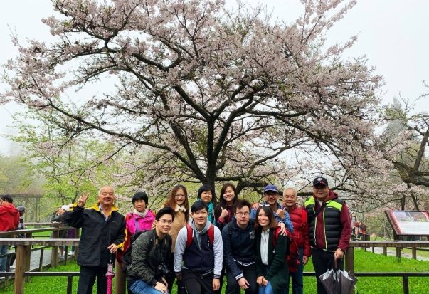 阿里山旅遊攻略