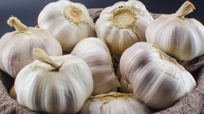 大蒜素安全使用