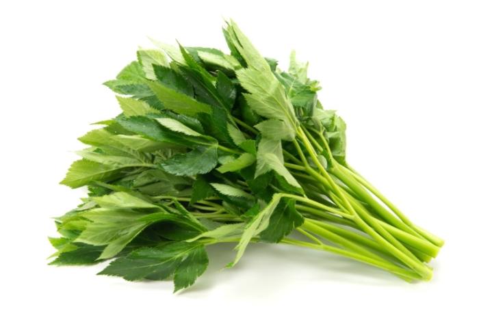 明日葉食用方法