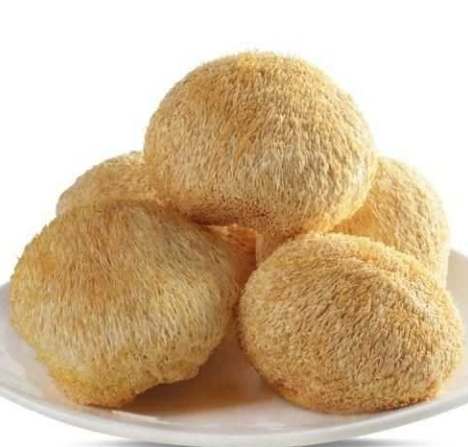 猴头菇的功效全解析：從養胃到健腦的天然寶藏