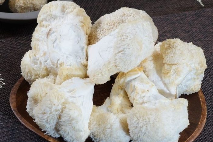 新鮮猴頭菇完全指南：選購、保存與美味食譜一次掌握