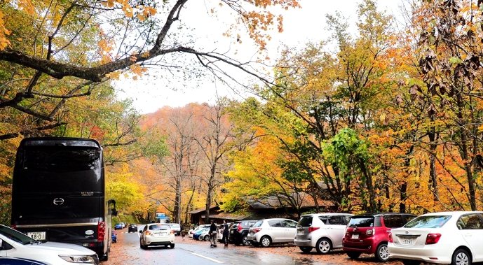 奧入瀨溪流巴士