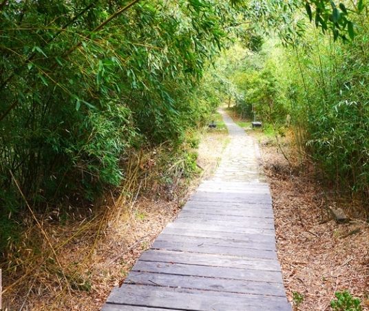鄭漢步道口山步道路線