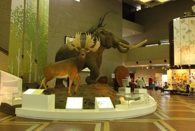大板博物館 門票
