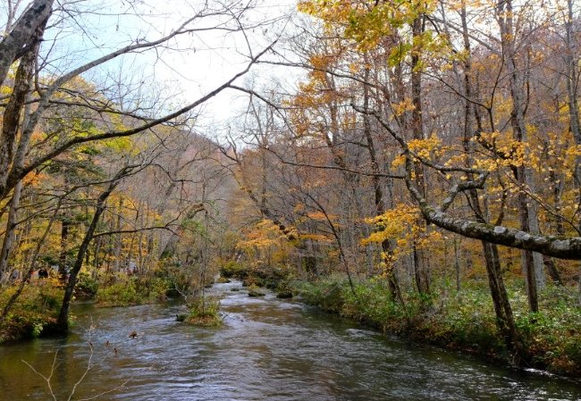 奧入瀬溪步道