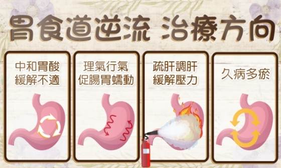 猴頭菇胃食道逆流全解析：正確吃法與避免不適的完整指南