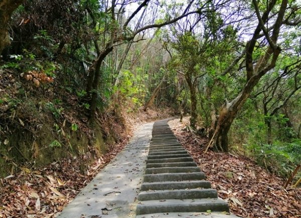 草屯虎山步道交通 草屯虎山步道交通