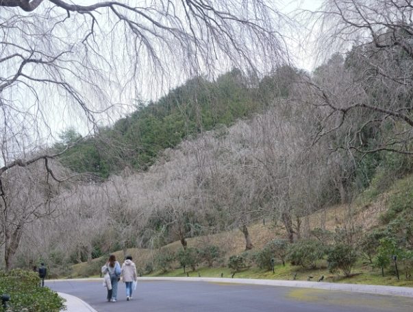 美秀美術館大眾運輸