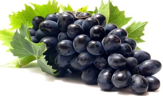 葡萄健康益處 葡萄健康益處