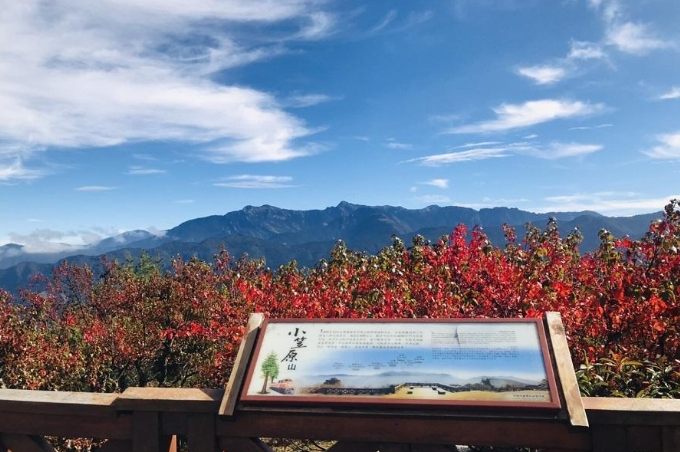 小笠原山日出接駁車