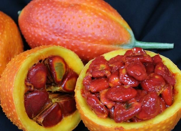 木鳖果烹饪時間 木鳖果烹饪時間