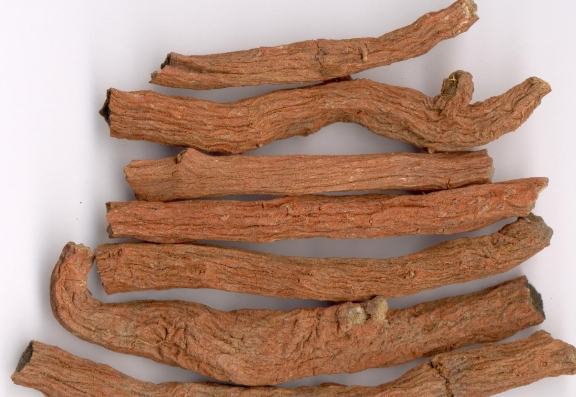 丹參功效 丹參功效