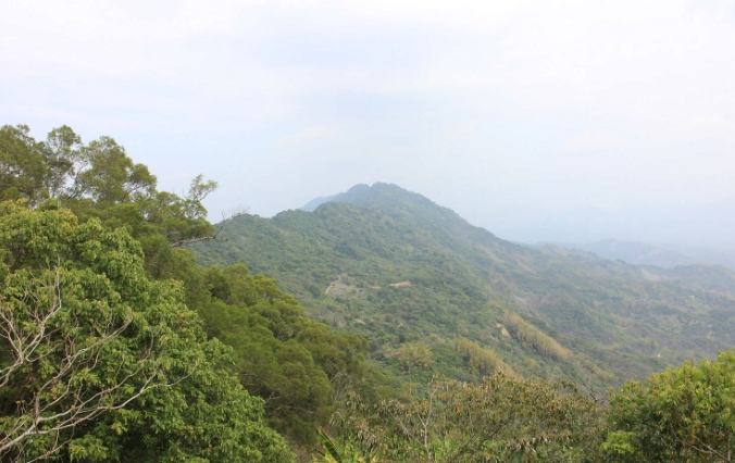 龍麟山步道關閉 龍麟山步道關閉