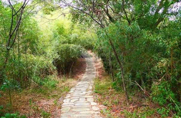 鄭漢步道口山步道路線