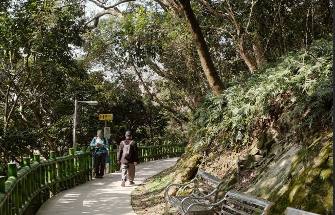 孫龍步道天氣預報 孫龍步道天氣預報