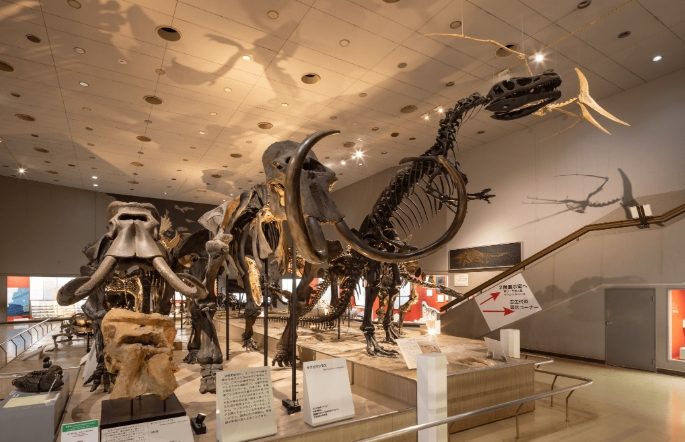 大板博物館 展覽