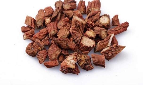 丹參中藥使用方法